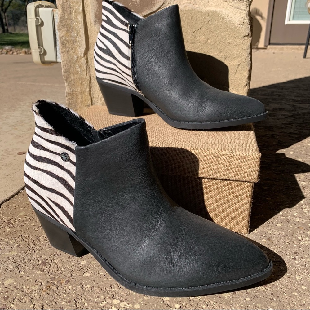 Yellow Box Bootie Black with Zebra Stripes